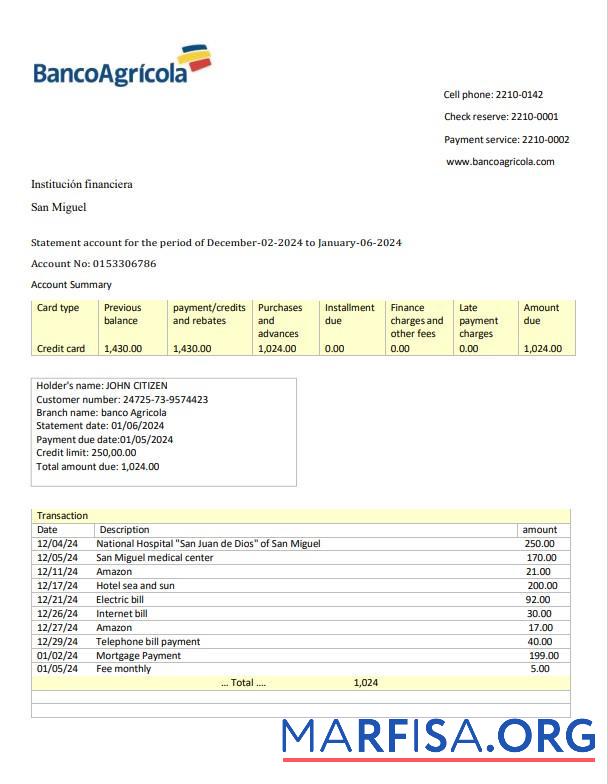 Blank Dominican Republic Banco Agricola bank statement 3 – 6 months word template